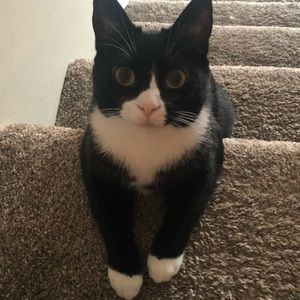 Meet your Posher, Nikki